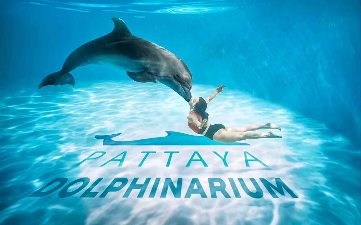 Entry Tickets To Pattaya Dolphinarium